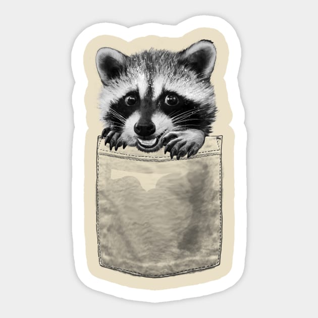 Raccoon in Pocket Sticker by LauraGraves